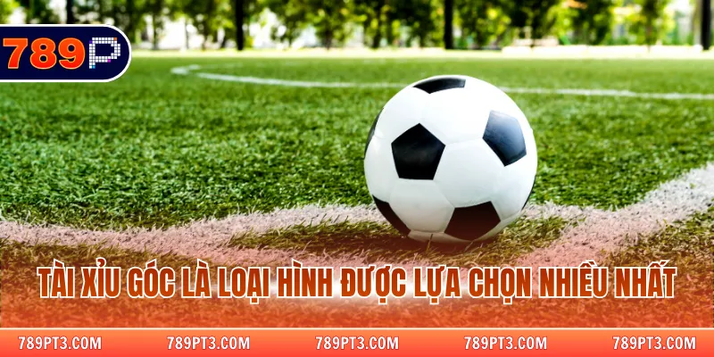 Tài xỉu góc là loại hình được lựa chọn nhiều nhất